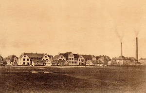 Senftenberg